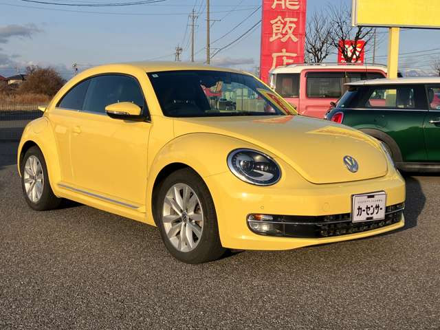 ザ・ビートルデザイン レザーパッケージ