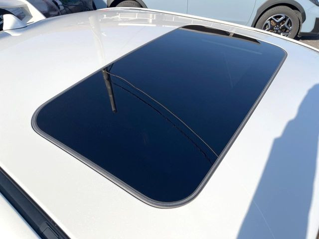 �y�T�����[�t�z�J���������Ղ�̊󏭑����A�T�����[�t����������Ă��܂�!�ԓ��ɖ�����������ꂽ��i�F���y���ވȊO�ɂ��A�ԓ��̋�C���ȒP�Ɋ��C�ł��ĉ��K�ł�!