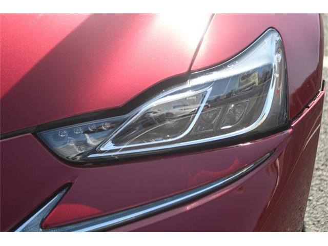 ���Ǝҗl�ւ̔̔��͂��f�肳���Ă��������܂��B �Ԍ������ԗ��̏ꍇ�́A�Ԍ����擾�������x�������z�ŕ\�����Ă���܂��B