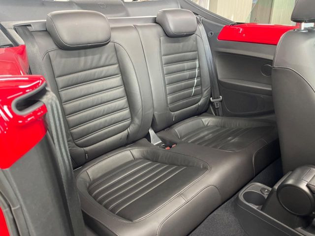 ���㕔���Ȃ��C�ɂȂ�悤�ȃL�Y�E�����ւ��蓙�A�傫�ȃ_���[�W�͂Ȃ��A�ǍD�ȏ�Ԃł��B