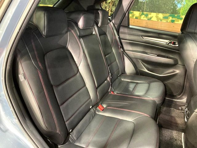 �㕔���Ȃ��C�ɂȂ�悤�ȃL�Y�E�����ւ��蓙�A�傫�ȃ_���[�W�͂Ȃ��A�ǍD�ȏ�Ԃł��B