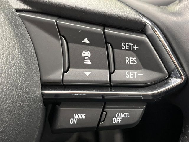 �y�}�c�_�E���[�_�[�N���[�Y�R���g���[���z�������H�ł̒��������s���y��!�����ő��x��ۂN���[�Y�R���g���[�����A�Փˌy���V�X�e���ƘA�g���A�O���̎ԗ������m���ĎԊԂ�ۂ悤�ɑ��x���߂��Ă���܂�!!