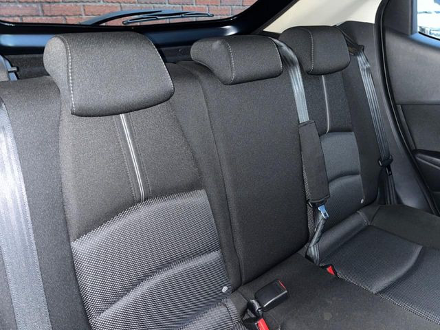 �㕔���Ȃ��C�ɂȂ�悤�ȃL�Y�E�����ւ��蓙�A�傫�ȃ_���[�W�͂Ȃ��A�ǍD�ȏ�Ԃł��B