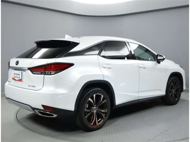 RX300 バージョンL