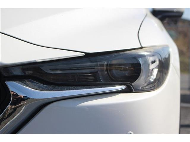 �����X�o���Ȃ����q�l�A���Ǝҗl�ւ̔̔��͂��f�肳���Ă��������܂��B�Ԍ������ԗ��̏ꍇ�́A�Ԍ����擾�������x�������z�ŕ\�����Ă���܂��B