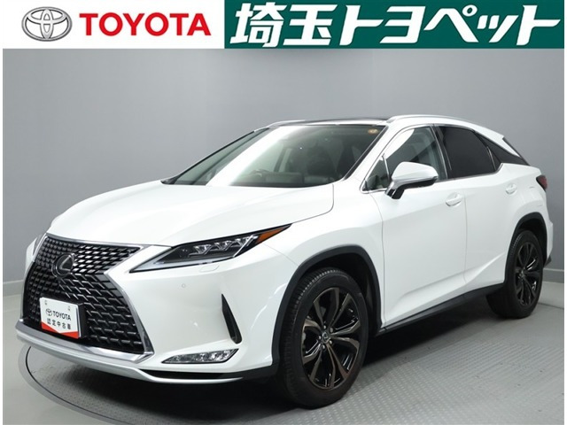 RX300 バージョンL