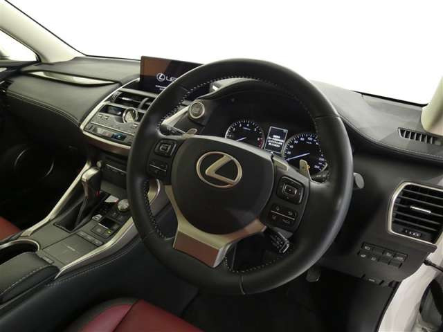 NX300 Iパッケージ