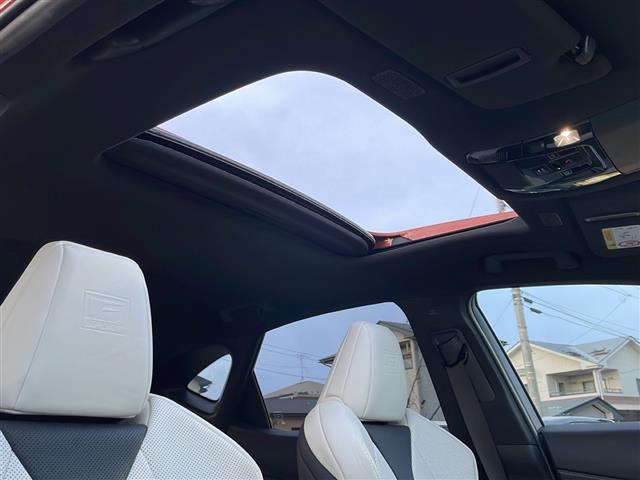 NX450hプラス Fスポーツ 4WD