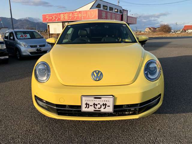 ザ・ビートルデザイン レザーパッケージ