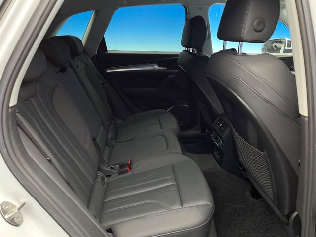 ���㕔���Ȃ��C�ɂȂ�悤�ȃL�Y�E�����ւ��蓙�A�傫�ȃ_���[�W�͂Ȃ��A�ǍD�ȏ�Ԃł��B