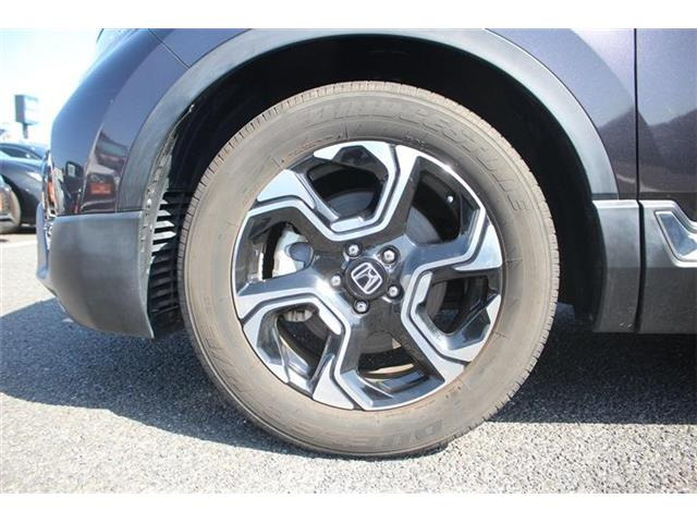 ���Ǝҗl�ւ̔̔��͂��f�肳���Ă��������܂��B �Ԍ������ԗ��̏ꍇ�́A�Ԍ����擾�������x�������z�ŕ\�����Ă���܂��B