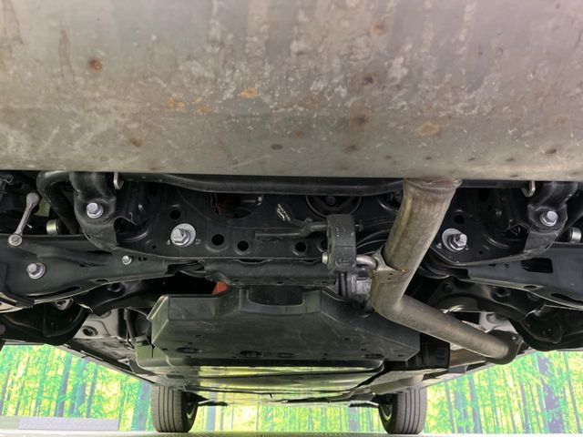 ����肪���ꂢ�Ȃ����ɁA�h�K���H�̎{�H���I�X�X���B�~��n��͂������A���ݕ��ɂ��Z���̕���A��Ń}�����E�E�B���^�[�X�|�[�c���������ɂ��D�]���������Ă���܂��B