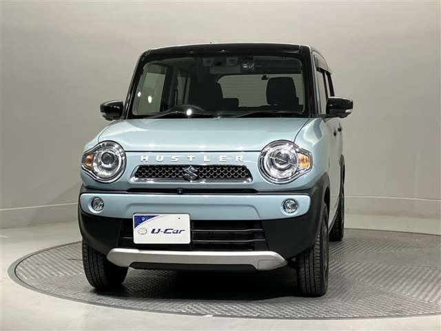 ハスラータフワイルド