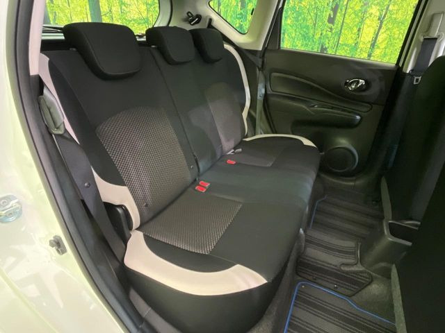 �㕔���Ȃ��C�ɂȂ�悤�ȃL�Y�E�����ւ��蓙�A�傫�ȃ_���[�W�͂Ȃ��A�ǍD�ȏ�Ԃł��B