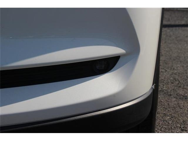 �����X�o���Ȃ����q�l�A���Ǝҗl�ւ̔̔��͂��f�肳���Ă��������܂��B�Ԍ������ԗ��̏ꍇ�́A�Ԍ����擾�������x�������z�ŕ\�����Ă���܂��B