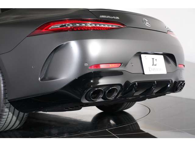 AMG�p�t�H�[�}���X�G�O�]�[�X�g�V�X�e������I�������AMG�_�C�i�~�b�N�p�b�P�[�W�BGT�Ƃ��Ă̊y���������˔����Ă���܂��B