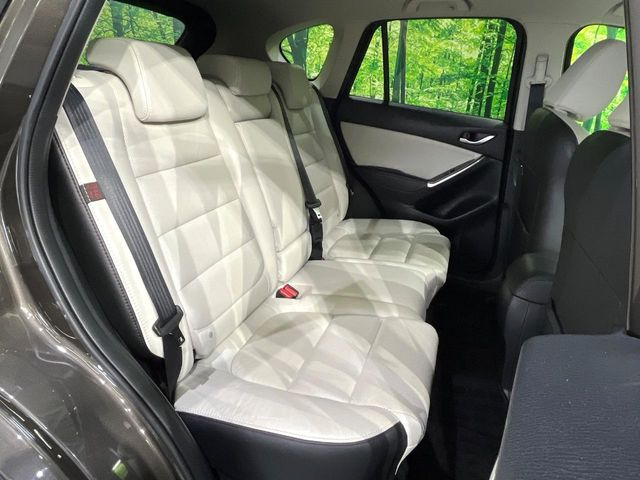 �㕔���Ȃ��C�ɂȂ�悤�ȃL�Y�E�����ւ��蓙�A�傫�ȃ_���[�W�͂Ȃ��A�ǍD�ȏ�Ԃł��B