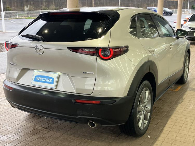 CX-302.0 20S