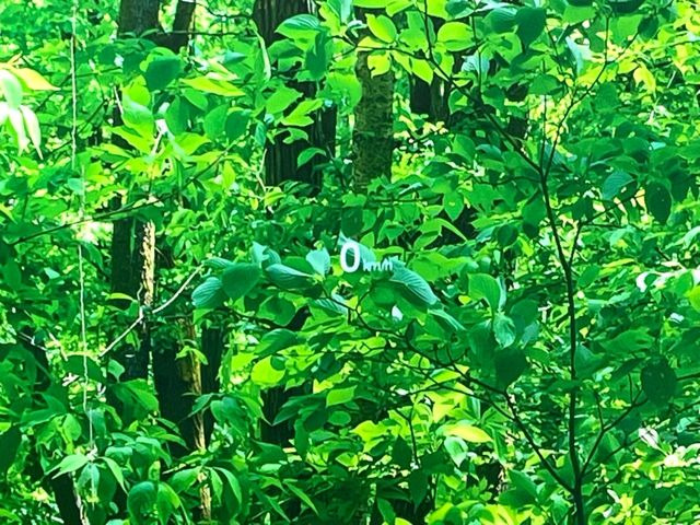 �y�w�b�h�A�b�v�f�B�X�v���C�z���݂̑��x�⑖�s�����f�W�^���\���ŉ^�]�ȑO���̃K���X�ɓ��e!�^�]���A�ڐ������炳���K�v�ȏ����m�F�ł���̂łƂ��Ă��֗��ň��S!