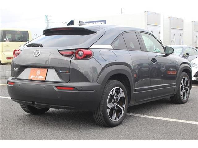 ���Ǝҗl�ւ̔̔��͂��f�肳���Ă��������܂��B �Ԍ������ԗ��̏ꍇ�́A�Ԍ����擾�������x�������z�ŕ\�����Ă���܂��B