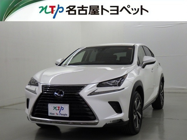 NX300h Iパッケージ