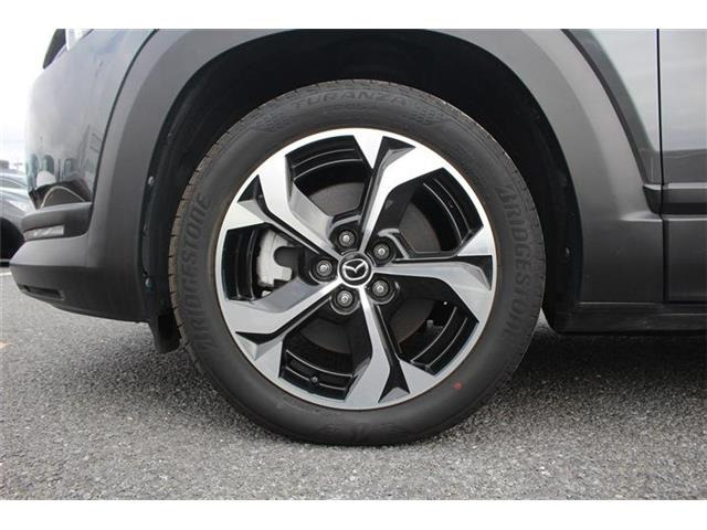 ���Ǝҗl�ւ̔̔��͂��f�肳���Ă��������܂��B �Ԍ������ԗ��̏ꍇ�́A�Ԍ����擾�������x�������z�ŕ\�����Ă���܂��B