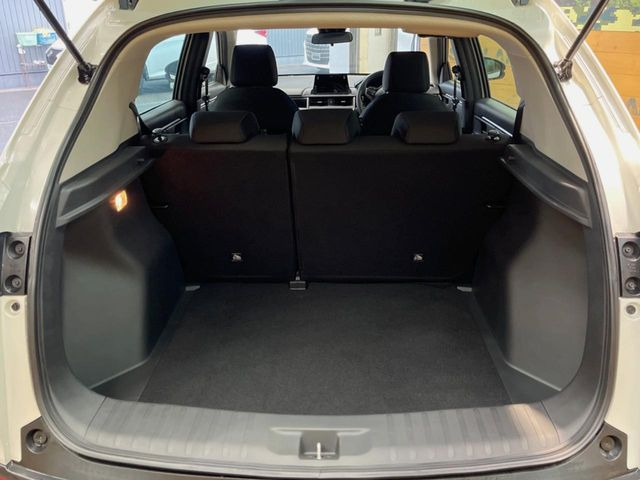 ���i�̂���������ʋ΁A���}���ɏ\���ȉ׎��X�y�[�X���m�ۂ��Ă���܂��B�Z�J���h�V�[�g��|���ƁA�傫�ȉו��̐ύڂ��\�ł���