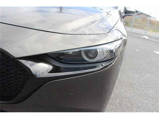 �����X�o���Ȃ����q�l�A���Ǝҗl�ւ̔̔��͂��f�肳���Ă��������܂��B�Ԍ������ԗ��̏ꍇ�́A�Ԍ����擾�������x�������z�ŕ\�����Ă���܂��B