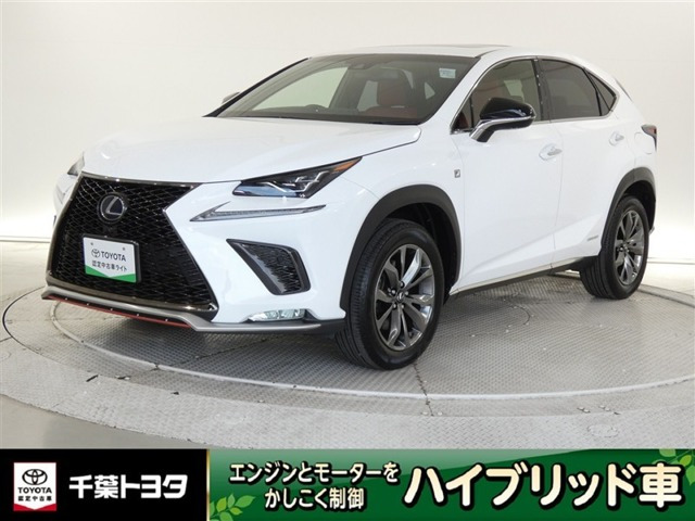 NX300h Fスポーツ