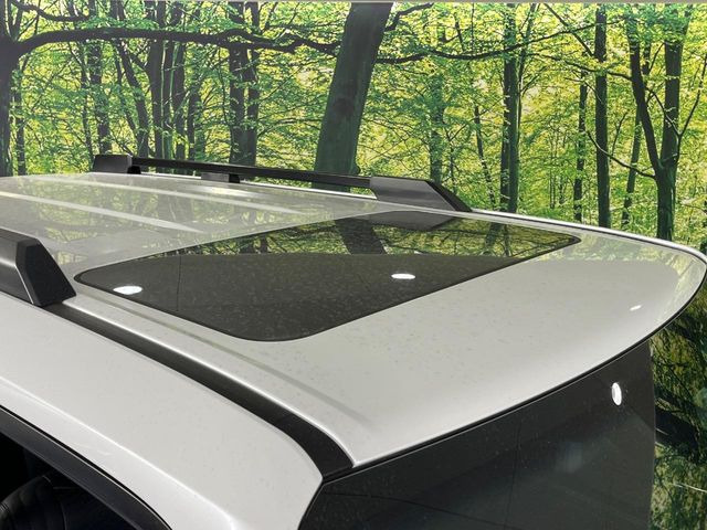 �y���[�����[�t�z�J���������Ղ�̊󏭑����A���[�����[�t����������Ă��܂�!�ԓ��ɖ�����������ꂽ��i�F���y���ވȊO�ɂ��A�ԓ��̋�C���ȒP�Ɋ��C�ł��ĉ��K�ł�!