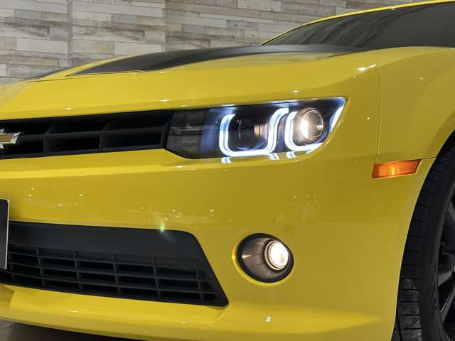 �d��:�����A�[�o���p�[�N���C�����؍�w���k����5��&rArr;