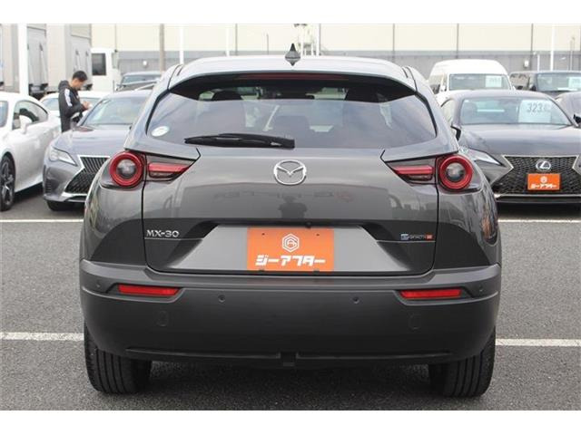 ���Ǝҗl�ւ̔̔��͂��f�肳���Ă��������܂��B �Ԍ������ԗ��̏ꍇ�́A�Ԍ����擾�������x�������z�ŕ\�����Ă���܂��B