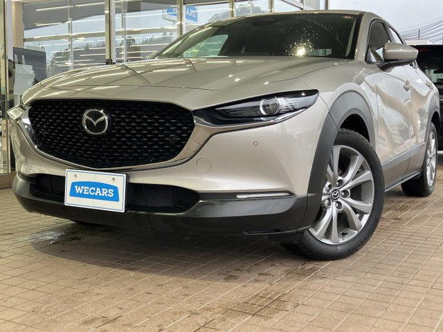 CX-302.0 20S