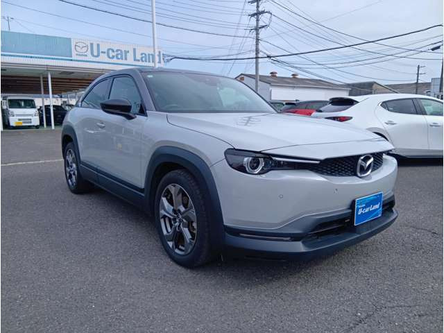 MX-302.0 インダストリアル クラシック 4WD