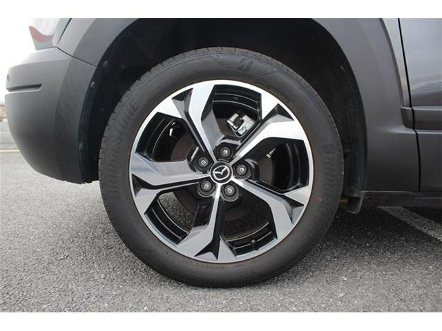 ���Ǝҗl�ւ̔̔��͂��f�肳���Ă��������܂��B �Ԍ������ԗ��̏ꍇ�́A�Ԍ����擾�������x�������z�ŕ\�����Ă���܂��B