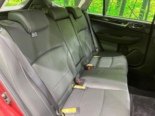 �㕔���Ȃ��C�ɂȂ�悤�ȃL�Y�E�����ւ��蓙�A�傫�ȃ_���[�W�͂Ȃ��A�ǍD�ȏ�Ԃł��B