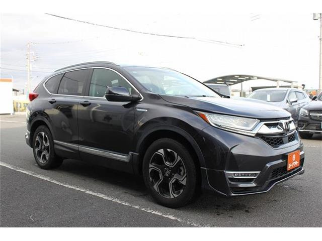 ���Ǝҗl�ւ̔̔��͂��f�肳���Ă��������܂��B �Ԍ������ԗ��̏ꍇ�́A�Ԍ����擾�������x�������z�ŕ\�����Ă���܂��B