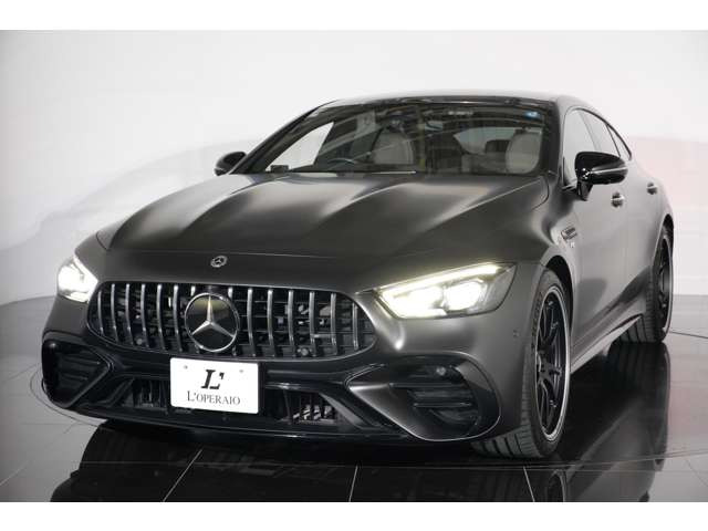 �L���J���[�ł���A�O���t�@�C�g�O���[�}�O�m��Z���A�����̓g�����t�u���E�����U�[�Ƃ����g�ݍ��킹���Ȃ�Ƃ��G���K���g�ł��B