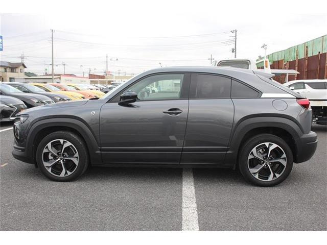 ���Ǝҗl�ւ̔̔��͂��f�肳���Ă��������܂��B �Ԍ������ԗ��̏ꍇ�́A�Ԍ����擾�������x�������z�ŕ\�����Ă���܂��B