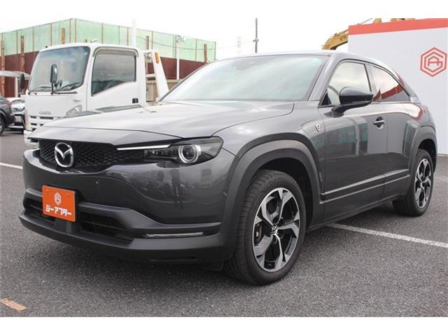 ���Ǝҗl�ւ̔̔��͂��f�肳���Ă��������܂��B �Ԍ������ԗ��̏ꍇ�́A�Ԍ����擾�������x�������z�ŕ\�����Ă���܂��B