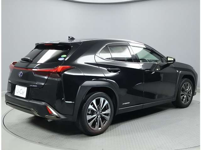 UX250h Fスポーツ