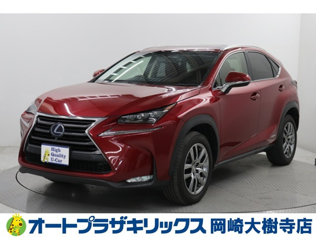 NX300h Iパッケージ