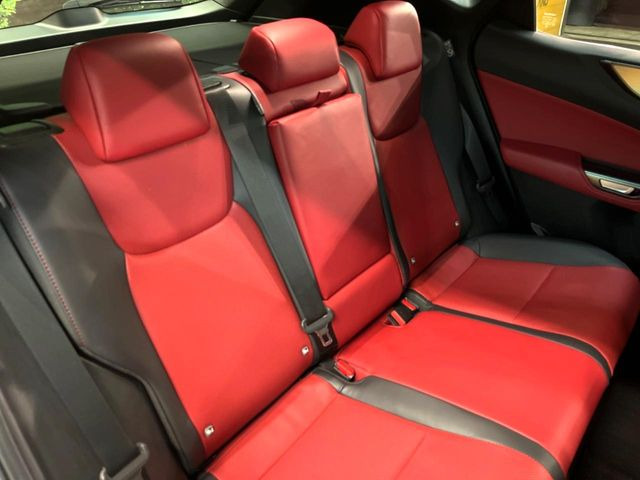 �㕔���Ȃ��C�ɂȂ�悤�ȃL�Y�E�����ւ��蓙�A�傫�ȃ_���[�W�͂Ȃ��A�ǍD�ȏ�Ԃł��B