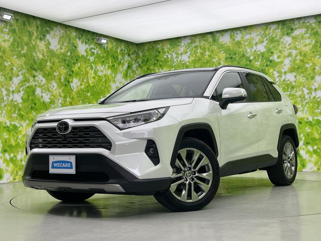 RAV42.0 G Zパッケージ 4WD