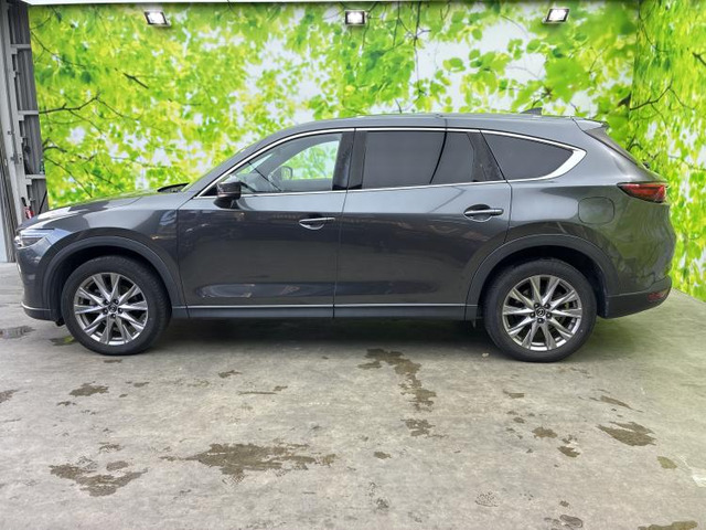 CX-82.5 25S プロアクティブ