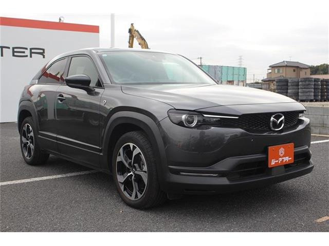 ���Ǝҗl�ւ̔̔��͂��f�肳���Ă��������܂��B �Ԍ������ԗ��̏ꍇ�́A�Ԍ����擾�������x�������z�ŕ\�����Ă���܂��B