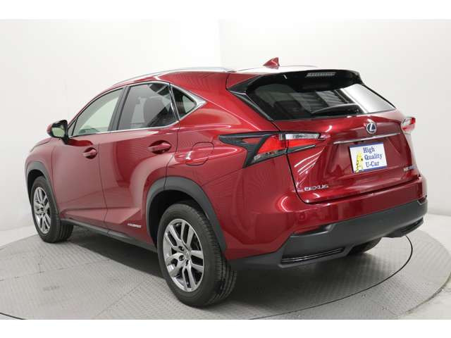 NX300h Iパッケージ