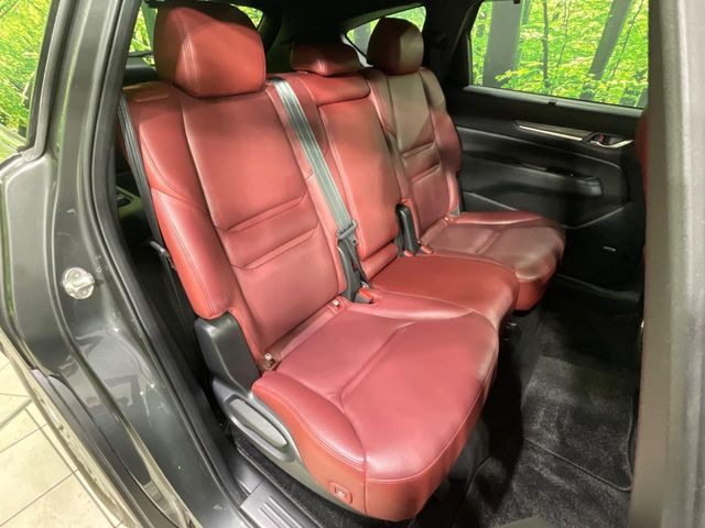 �㕔���Ȃ��C�ɂȂ�悤�ȃL�Y�E�����ւ��蓙�A�傫�ȃ_���[�W�͂Ȃ��A�ǍD�ȏ�Ԃł��B