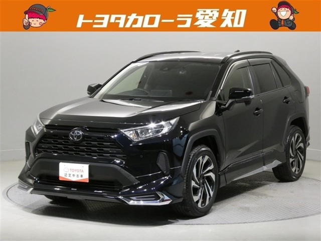 RAV42.0 X