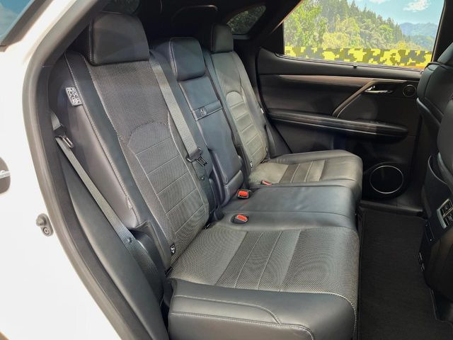 �㕔���Ȃ��C�ɂȂ�悤�ȃL�Y�E�����ւ��蓙�A�傫�ȃ_���[�W�͂Ȃ��A�ǍD�ȏ�Ԃł��B